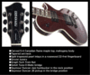 Fernandes monterey deluxe 2.gif